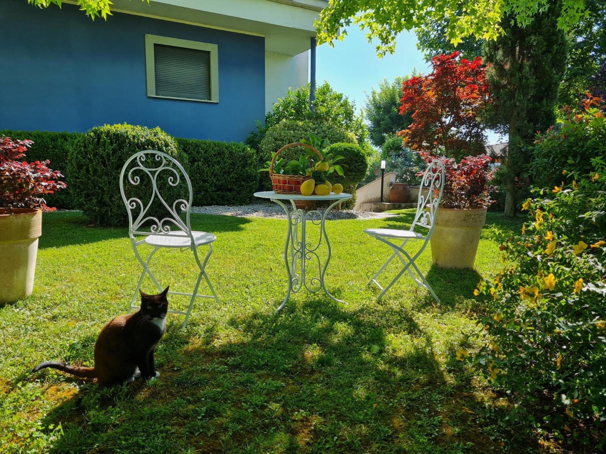 Villa Lanni Cassino Exteriér fotografie